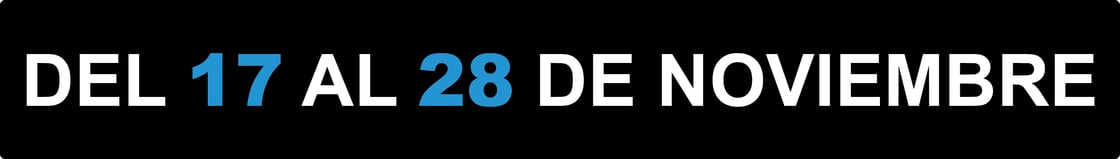 BLACK FRIDAY 2025-4b